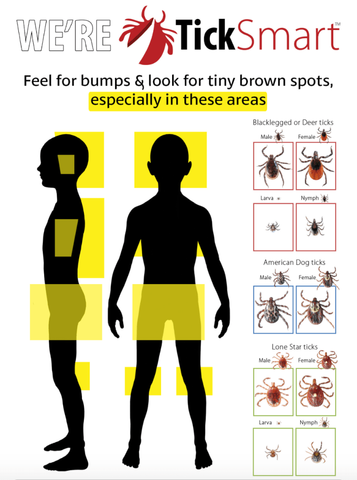 Screen Shot 2017-05-23 at 9.17.39 AM