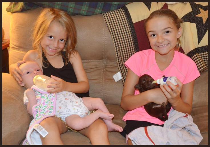 13882549_1035395196568110_8600463303113347749_n