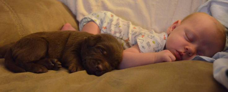 13925538_1035965619844401_2485572702506386966_o