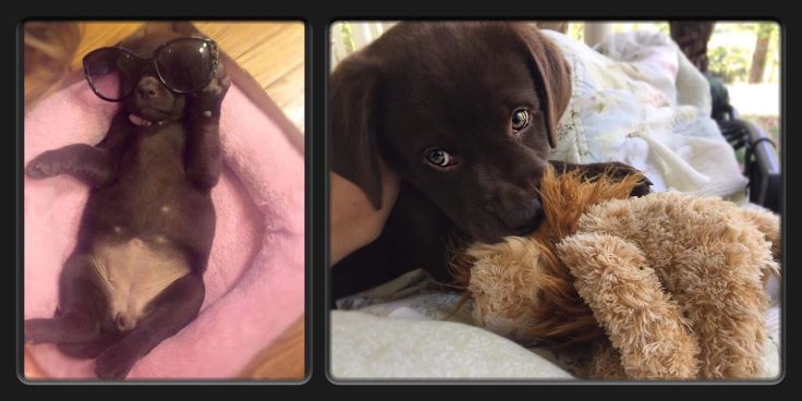 34070248_10157488219148858_4047369281858437120_n