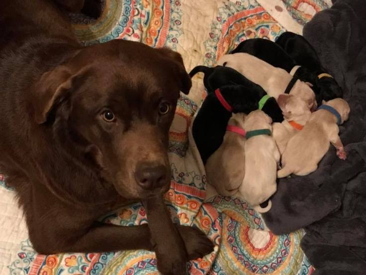 30653039_1622016807905943_2500349373536272384_n